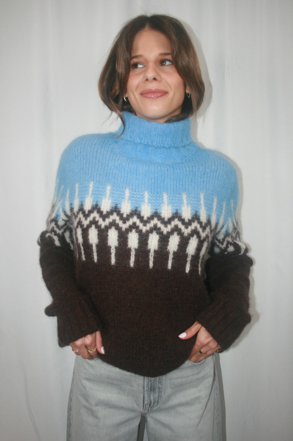 Brushed Luxe Fair Isle Turtleneck - Blue Combo IU